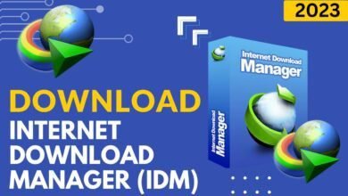 Internet Download Manager